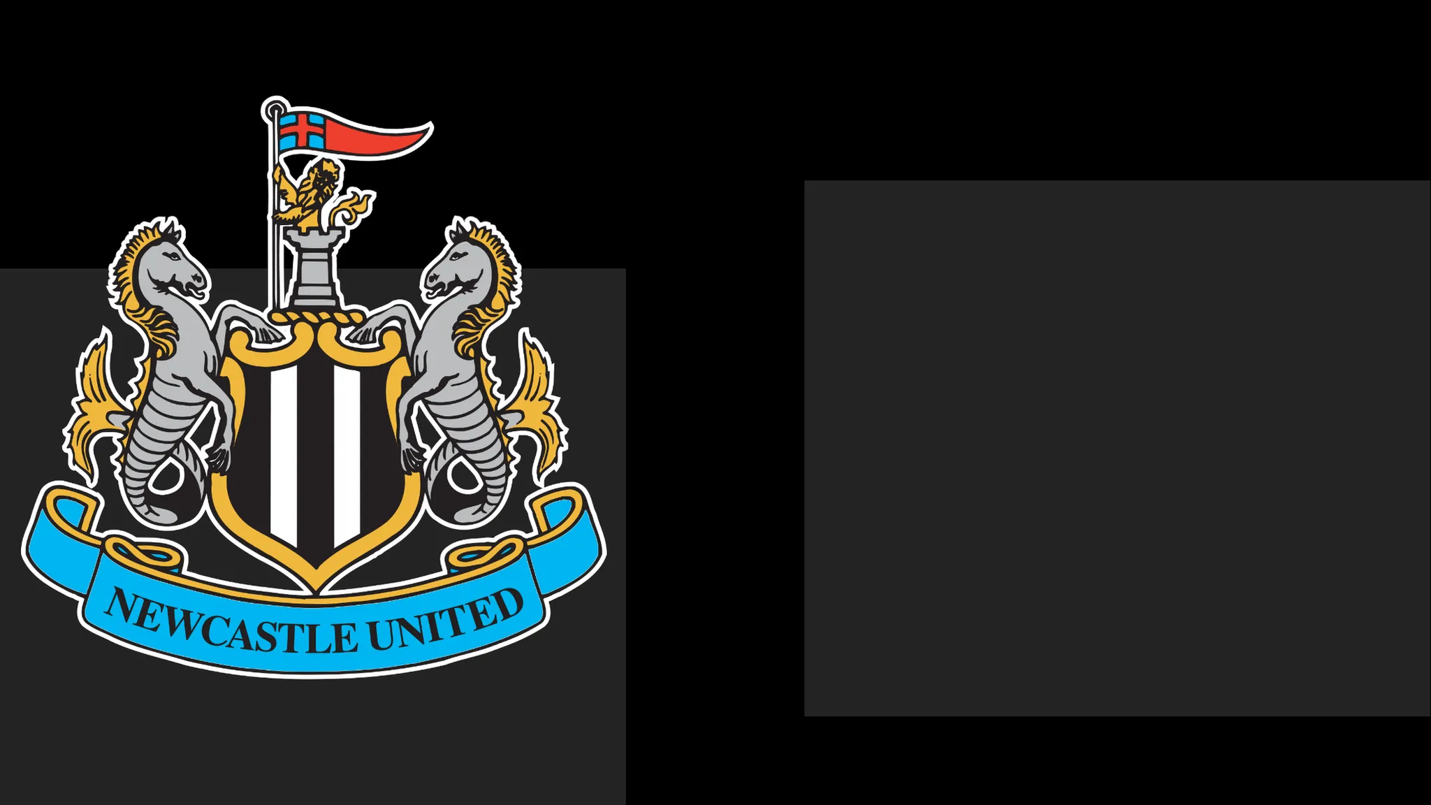 Newcastle Issue Statement of Regret to Followers Amid Matchday Dispute
