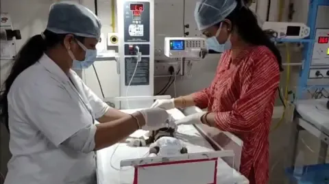 Newborn Placed Living in India Fights for Survival