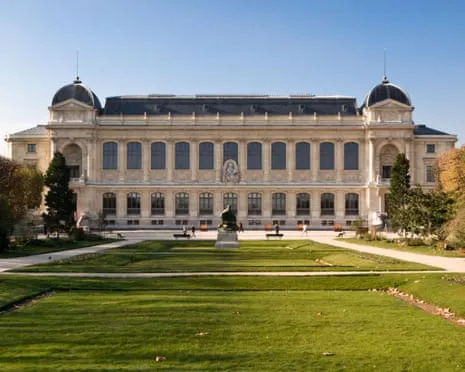 Priceless Gold Pieces Snatched in Bold Robbery at French National Museum