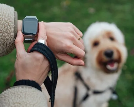 The Honest Scoop Concerning Fitness Trackers? Living Feels Fuller Lacking a Hectoring Zealot on Your Wristwear